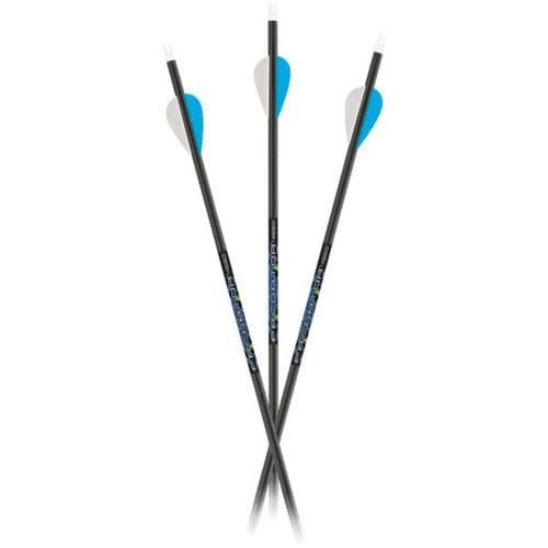 Predator 2040 Carbon Arrows