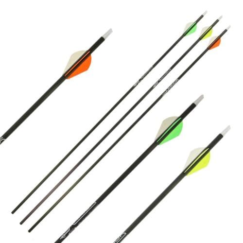 Gold Tip Warrior 340 Arrow