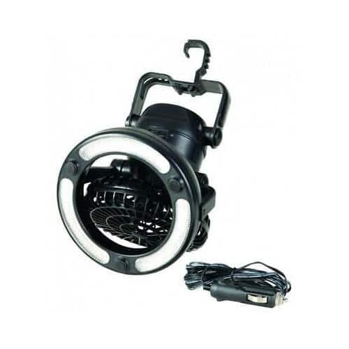 Clam Multi- Directional Fan Light