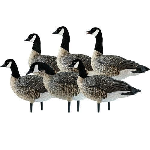 Avian X Active Lessers Goose Decoys