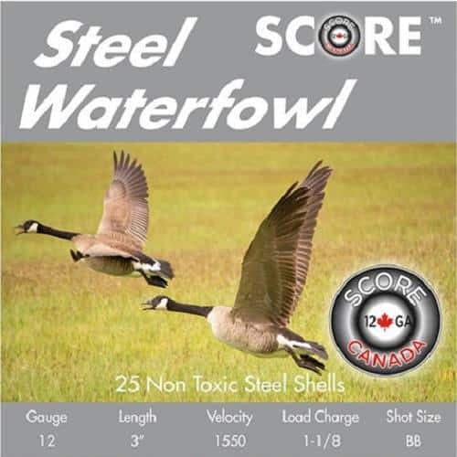 Score 12ga 3″ #BB Steel