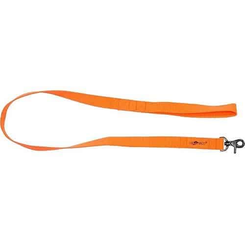 Avery Standard Leash