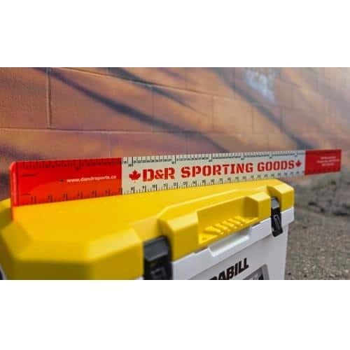 D&R Sporting Goods 36″ Bump Board Fish Ruler