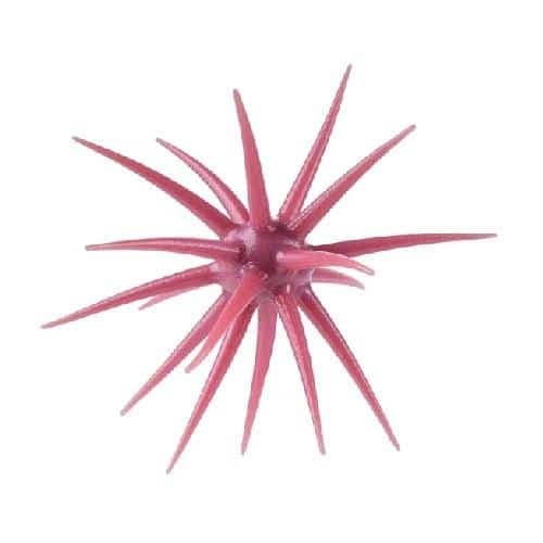 Berkley Powerbait MaxScent 'Moeba