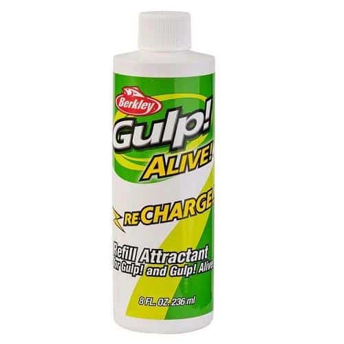 Gulp Alive Recharge 8oz