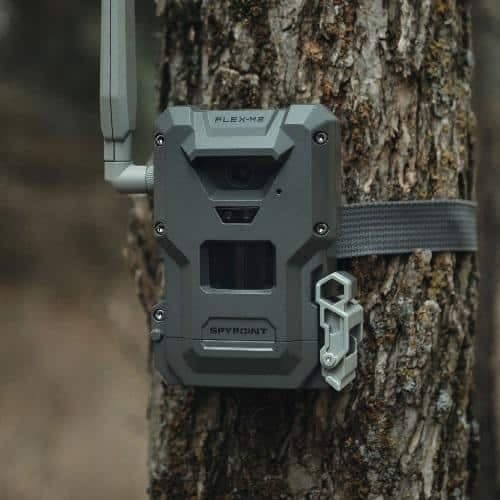 Spypoint Flex-M2 Cellular Trail Camera